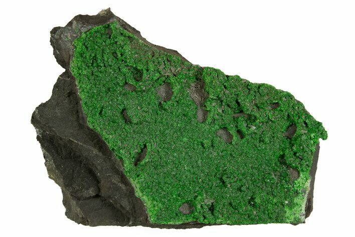 Forest Green Uvarovite Garnets - Russia #344502